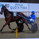 Da Villanova d'Albenga al fascino di San Siro: esordio all'ippodromo milanese per il gentleman driver Alessandro Catalano