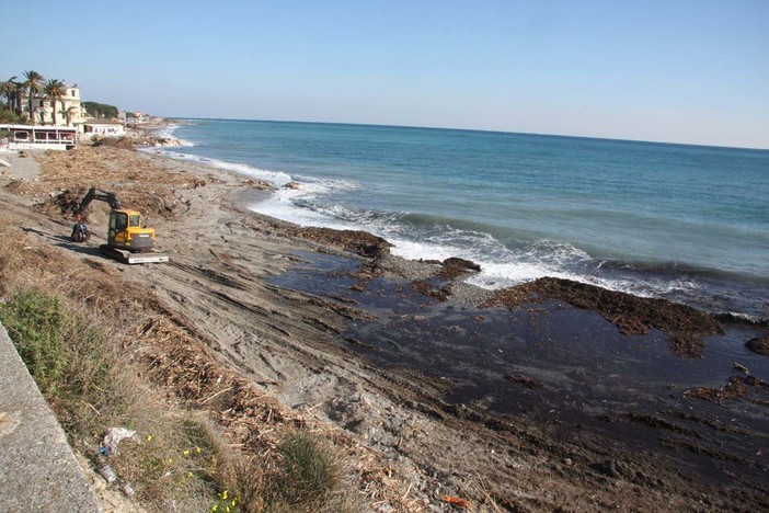 Erosione della spiaggia ad Alassio, la soluzione il “Tecnoreef”