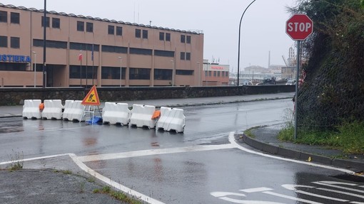 Caduta rami in Lungomare Matteotti, riaperta l'Aurelia a Savona