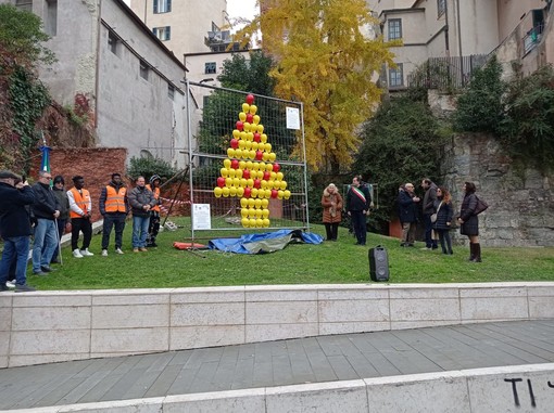 Savona, inaugurato ai giardini Isnardi l'albero di Natale fatto di caschi da lavoro