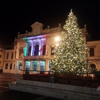Savona, acceso l'albero di Natale in Piazza Sisto (FOTO)