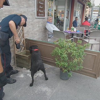 Controlli anti-droga ad Albenga, chiuso per un mese il bar &quot;Del Ponte&quot;