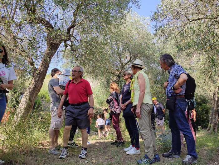 Andora, torna “La merenda nell’oliveta”: per conoscere le bellezze del territorio e degustare i prodotti tipici locali