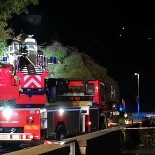 Finale Ligure, albero caduto causa maltempo: Aurelia chiusa