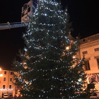 Savona si illumina: acceso l'albero di Natale in piazza Sisto