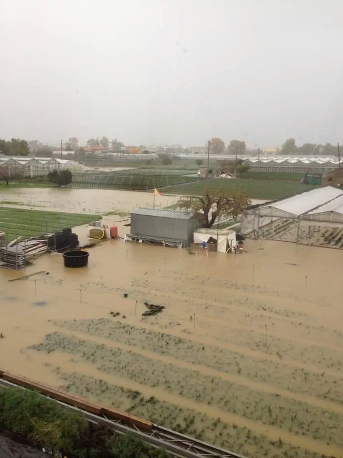 50 imprenditori agricoli oggi in comune ad Albenga per incontrare il Sindaco Giorgio Cangiano