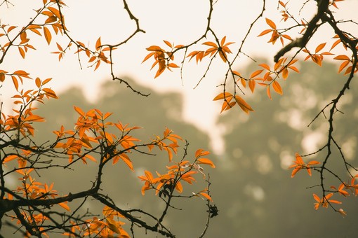 Tempo autunnale per buona parte della settimana