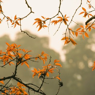 Tempo autunnale per buona parte della settimana