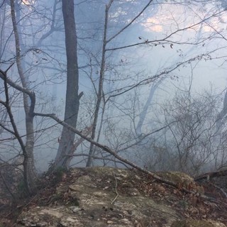 Incendio di Conna, nei boschi di Andora: l'AIB sta monitorando eventuali ripartenze