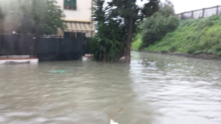 Albenga è nuovamente sott'acqua - aggiornamento 13 - video del Centa