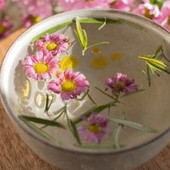 L'Acqua di San Giovanni: fiori ed erbe per un rito benefico ricco di significato
