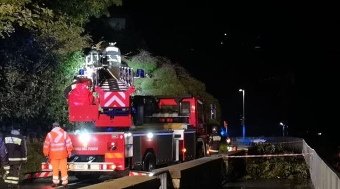 Finale Ligure, albero caduto causa maltempo: Aurelia chiusa