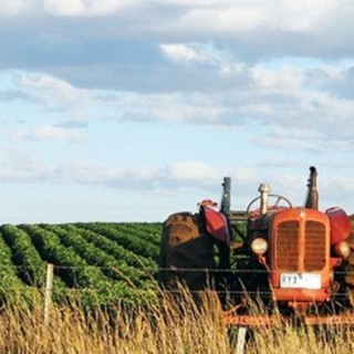 Mercoledi 11 giugno l'agricoltura sociale sara ospite ad Imperia