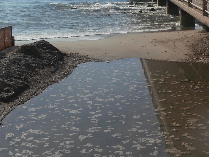 Si infiamma la polemica sui liquami del rio Fontana a Ceriale