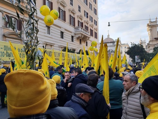 Gli agricoltori scendono in piazza a difesa dell’olio Made in Italy