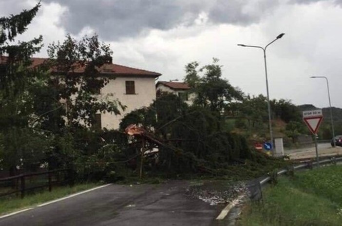 Tromba d'aria a Piana Crixia, sindaco Tappa: &quot;Per fortuna nessun ferito, grazie a tutti per l'aiuto&quot;