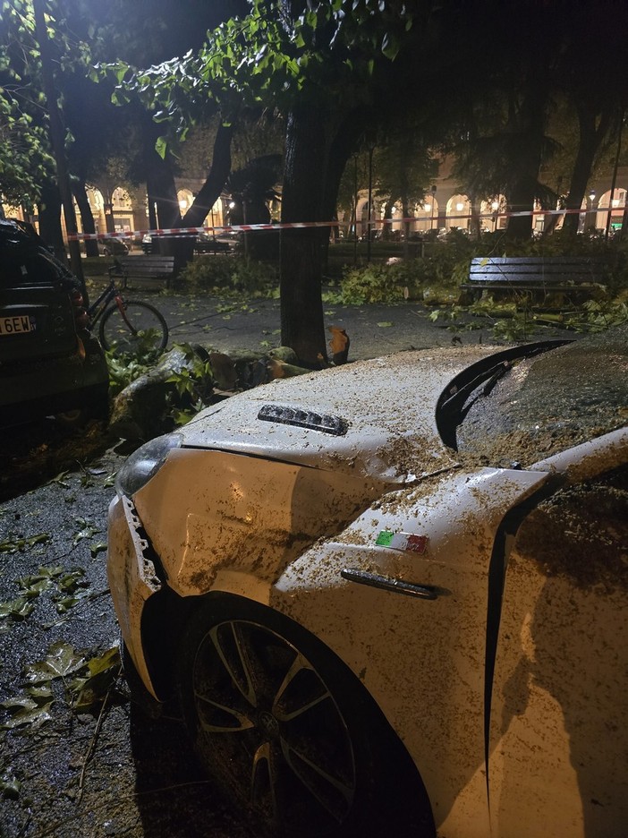 Grosso ramo si spezza, paura a Savona: due auto danneggiate in piazza del Popolo