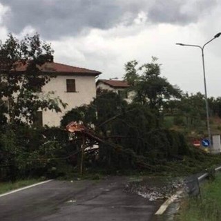 Tromba d'aria a Piana Crixia, sindaco Tappa: &quot;Per fortuna nessun ferito, grazie a tutti per l'aiuto&quot;