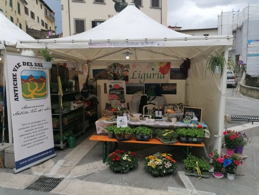 Pro loco di Garlenda e Antiche Vie Del Sale: unione e tradizione al &quot;Festival delle Regioni&quot; di Bucine