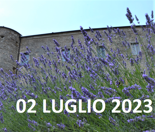 ALTO (CN): tutto pronto per la 2° Edizione della FESTA DELLA LAVANDA”