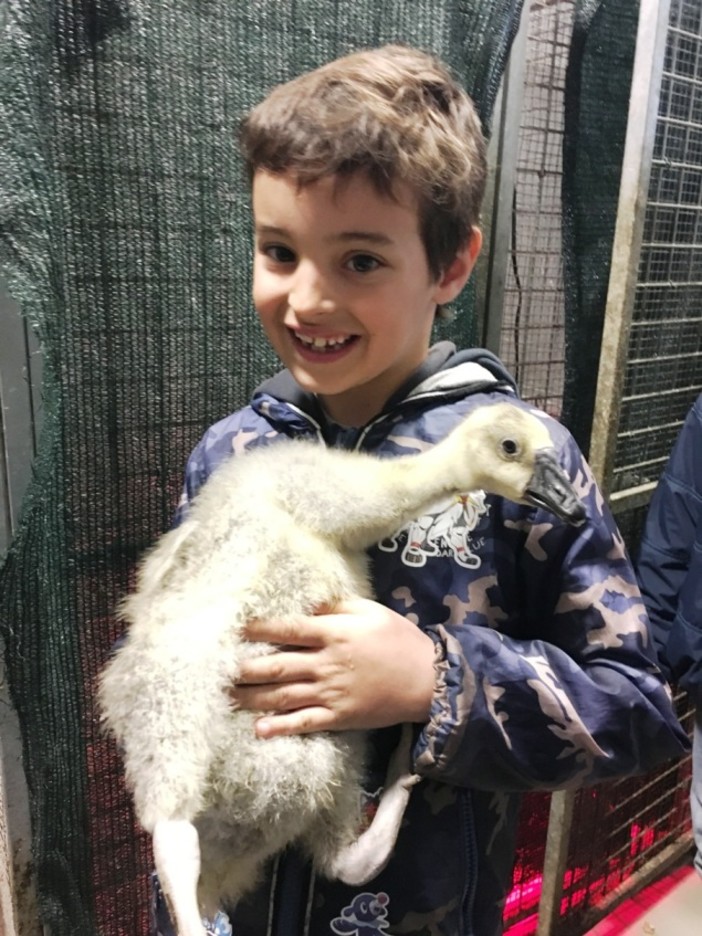 Savona, i bambini visitano la sede della Protezione Animali