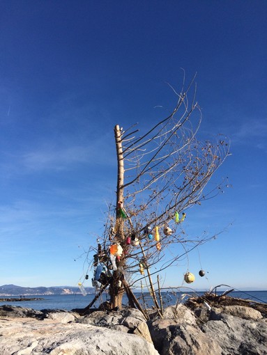 Albenga: dai rifiuti sulla spiaggia nasce un Albero di Natale