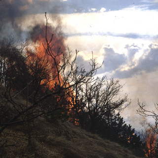 Incendio sulla alture di Alassio, il sindaco Canepa:&quot;Ore di grande preoccupazione&quot;