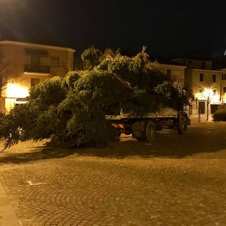 Cairo, è arrivato l'albero di Natale (FOTO)