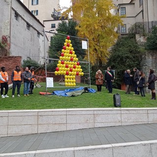 Savona, inaugurato ai giardini Isnardi l'albero di Natale fatto di caschi da lavoro