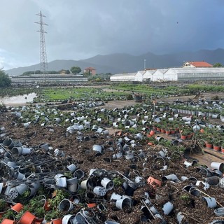 Alluvione nell'albenganese, riunione in Regione: dal territorio richieste di aiuto, tra stato di calamità e fondi PSR