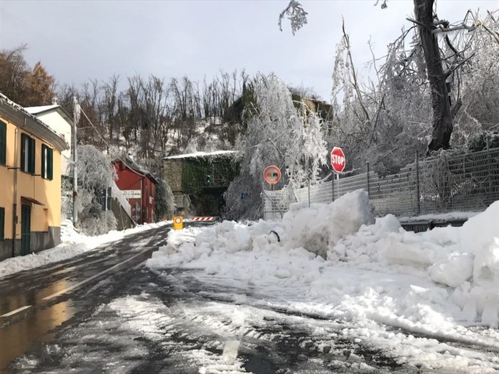 Provincia: avviato il primo tavolo tecnico su Viabilità ed Ecologia