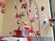Albenga, un albero di Natale green per il nido d'infanzia &quot;Girotondo&quot; e la ludoteca inglese &quot;Joyland&quot;