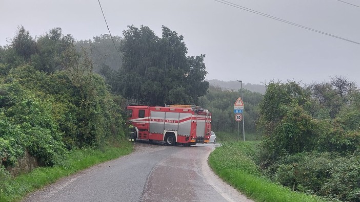 Vigili del fuoco in via Madonna del Monte, Savona, per un albero caduto sui cavi del telefono