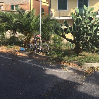 Sporcizia e degrado in piazza Sacco e Vanzetti ad Albenga