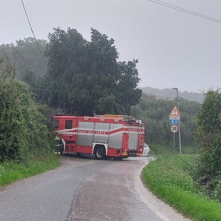 Vigili del fuoco in via Madonna del Monte, Savona, per un albero caduto sui cavi del telefono