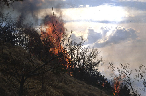 Incendio sulla alture di Alassio, il sindaco Canepa:&quot;Ore di grande preoccupazione&quot;