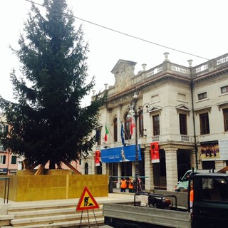&quot;Savona si illumina&quot;: domenica 27 novembre la cerimonia di accensione dell'albero di Natale
