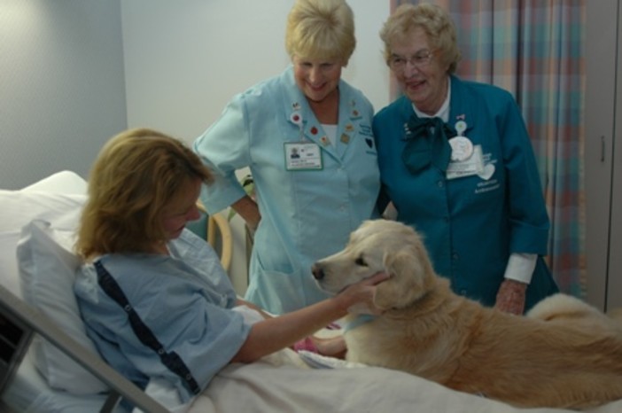 Enpa: animali in ospedale, con le necessarie precauzioni