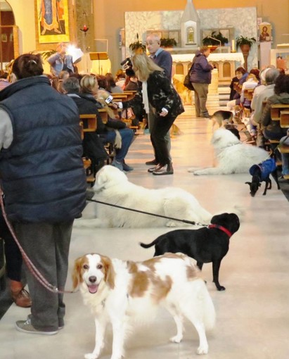 Successo per la 13° Giornata degli Animali al Sacro Cuore di Savona