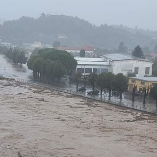 Cairo, esondato il fiume Bormida. Chiusa per frana la provinciale Altare-Mallare (VIDEO)