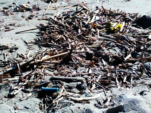 Cartuccia sulla spiaggia a Ceriale: forse spinta dalla mareggiata