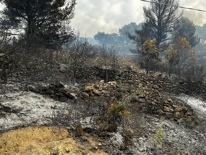 Alassio, l'incendio non è spento: domati alcuni focolai, mobilitato l'elicottero