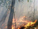 Varazze: incendio di bosco per colpa di un camion