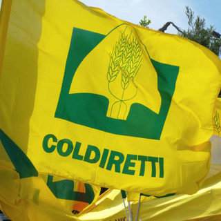 Ceriale, Coldiretti lancia l'azione sindacale verso il Comune: &quot;Tari su fabbricati strumentali non a norma di legge&quot;