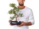 Un  Bonsai per un futuro senza Aids