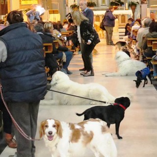 Successo per la 13° Giornata degli Animali al Sacro Cuore di Savona