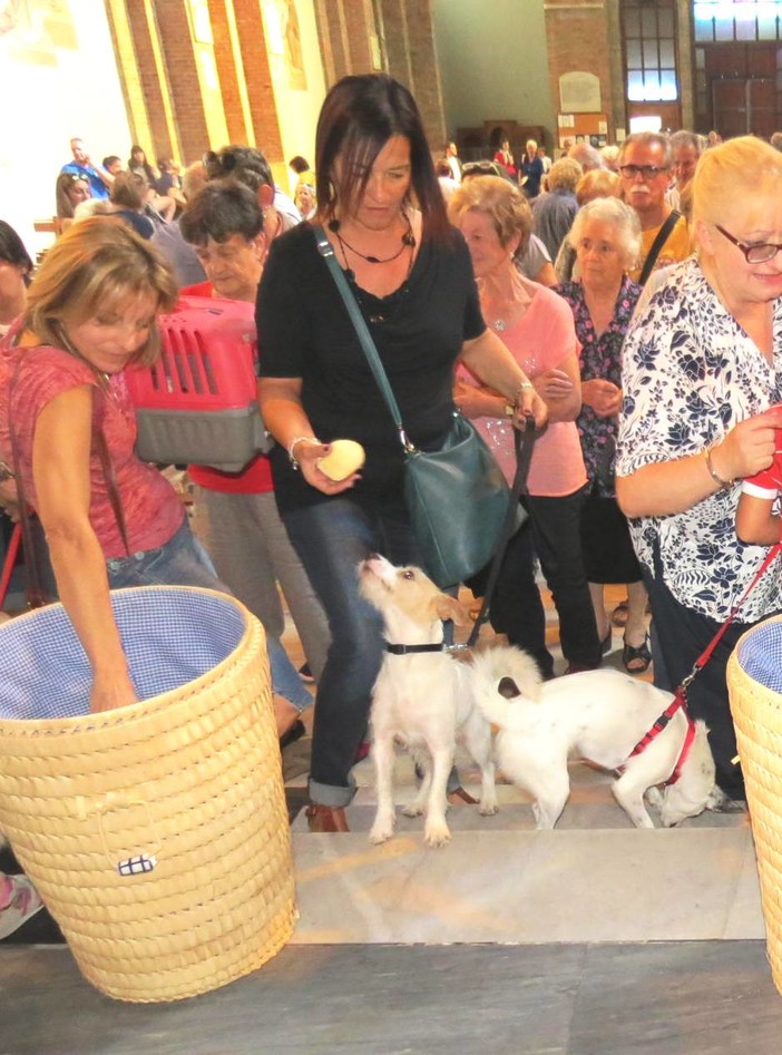 Giornata degli Animali, domani a Savona la benedizione degli animali