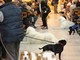 Successo per la 13° Giornata degli Animali al Sacro Cuore di Savona