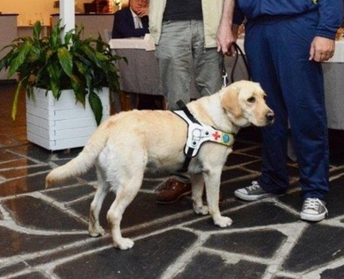 Genova: tre labrador, cani guida, consegnati a non vedenti liguri