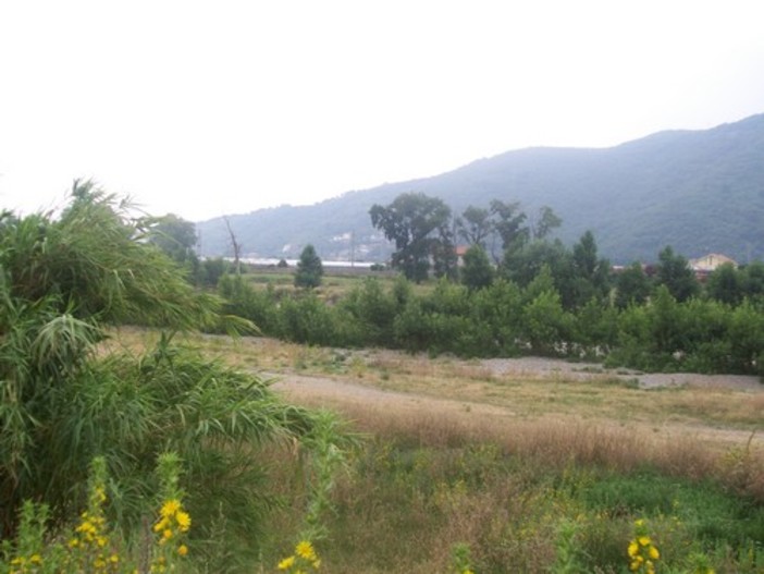 Albenga: centomila euro per ripulire il fiume Centa
